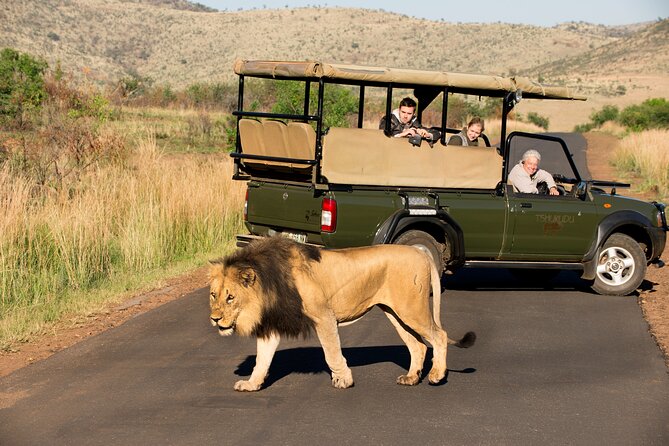 Full Day Pilanesberg Experience in Open Vehicle - How the value compares with the price