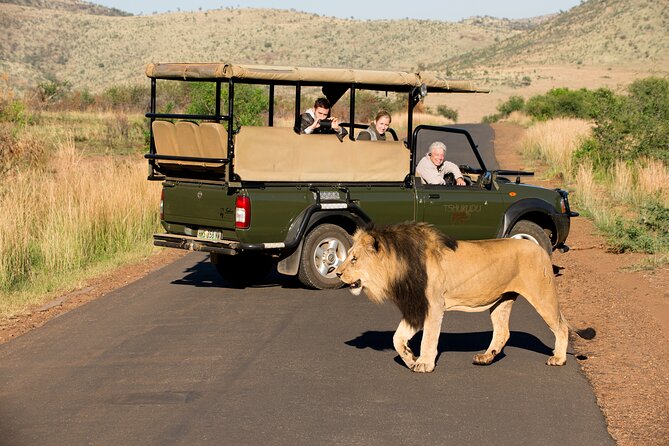 Full Day Pilanesberg Experience in Open Vehicle - The comfort level and road reality