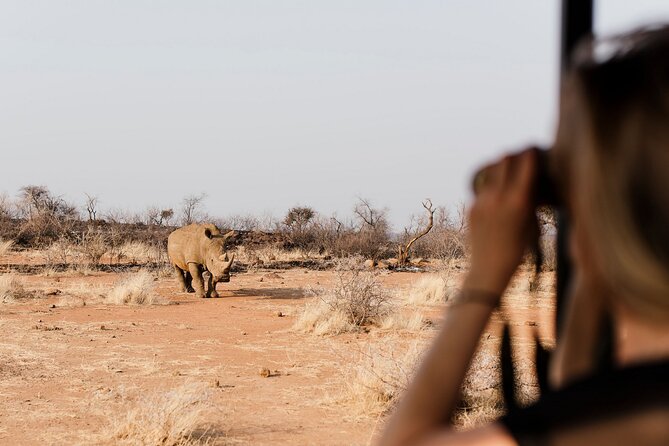 Full Day Pilanesberg Safari Adventure - Key points to know before you book