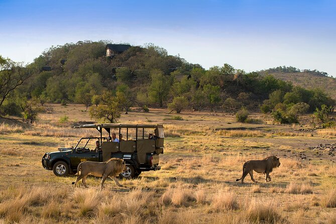 Full Day Pilanesberg Safari Adventure - Why Pilanesberg works for a one-day safari