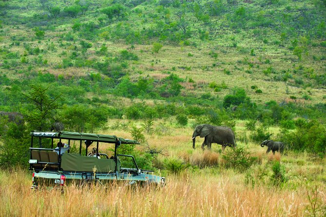 Full Day Pilanesberg Safari Adventure - The afternoon drive back to Bosele Camp