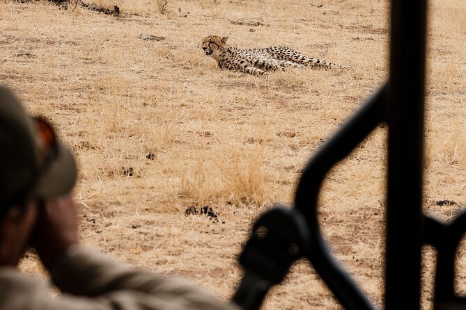 Full Day Pilanesberg Safari Adventure - Is $121.35 good value?