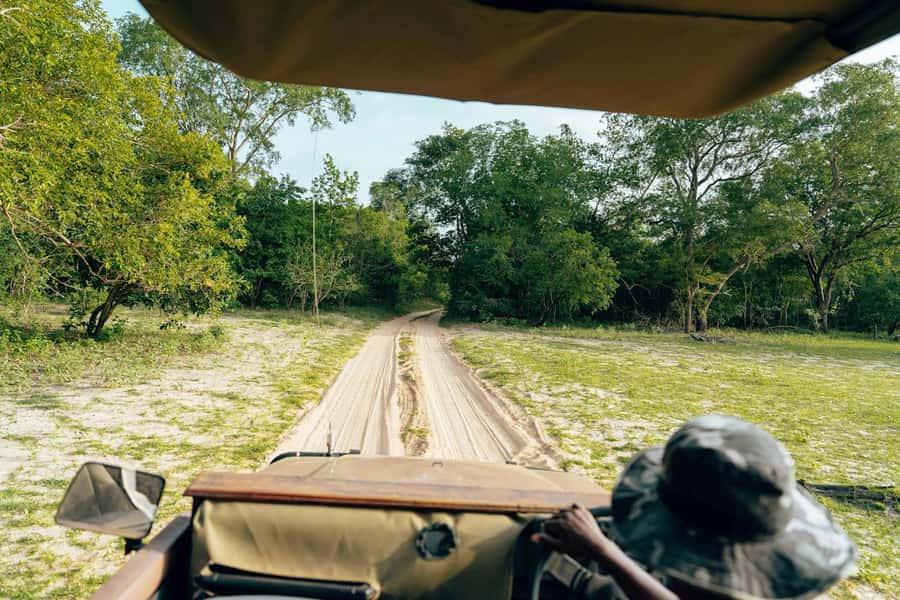 Full-Day Pilanesberg Safari from Sun City - Key points to know before booking