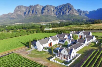 Full-Day Private: Best of the Cape