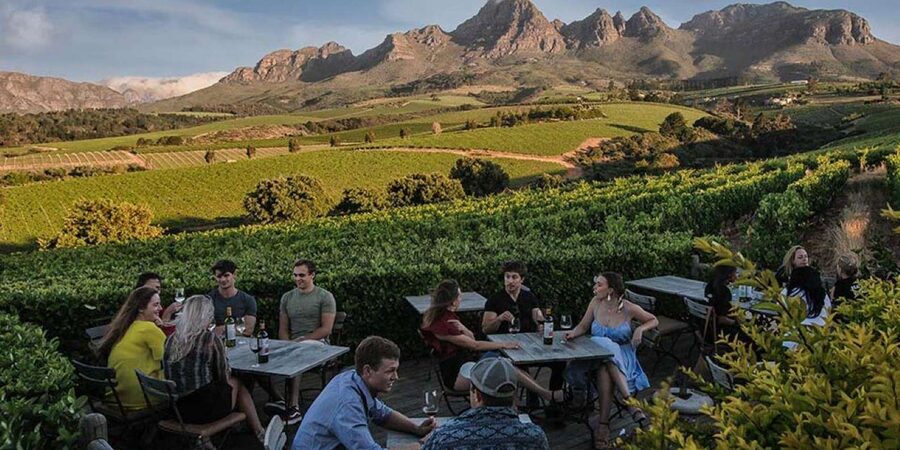 Full-Day Private: Best of the Cape - Cape of Good Hope and Cape Point in 80 minutes