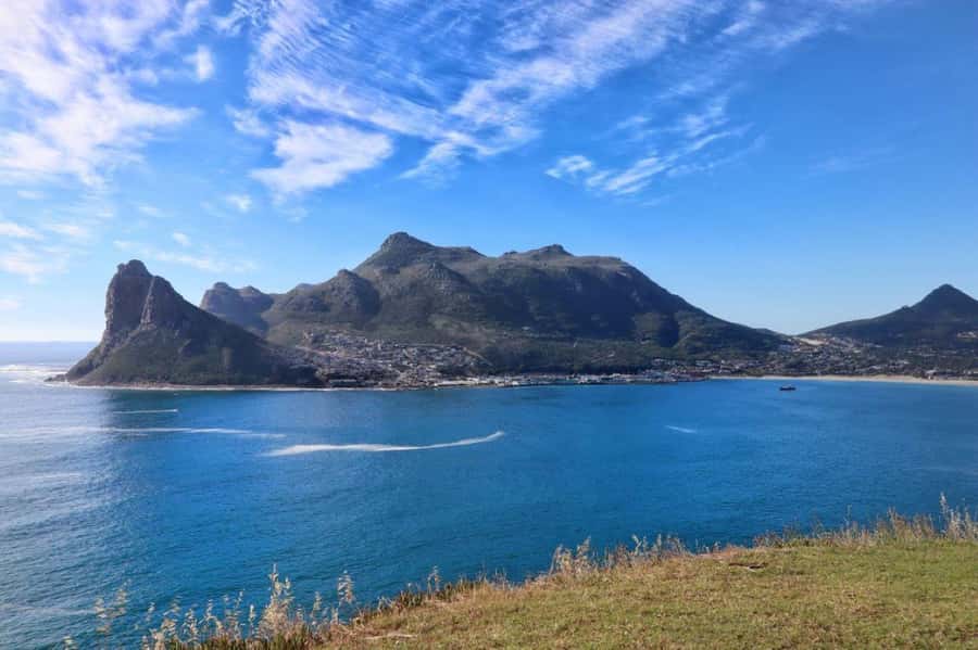 Full-Day Private: Best of the Cape - Boulders Beach and the African penguins