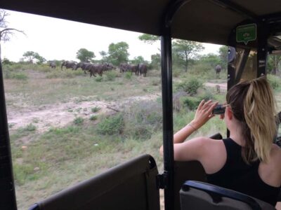 Full-Day Private Big 5 Safari in Kruger National Park