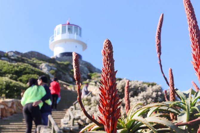 Full Day Private Cape Highlights - How the private format affects the day