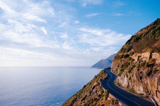 Full Day Private Cape Highlights - Chapman’s Peak and the road to Cape Point