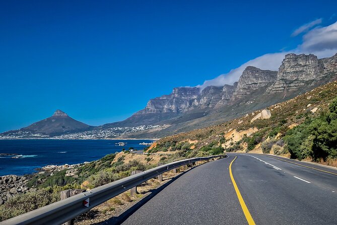 Full Day Private Cape Peninsula and Boulders Beach Tour - African penguins at Boulders Beach