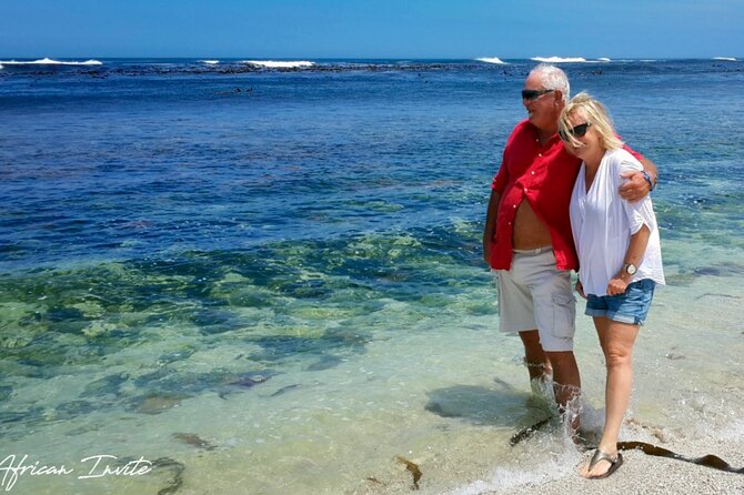 Full-Day Private Cape Peninsula Tour - Chapman’s Peak Drive and Noordhoek Beach