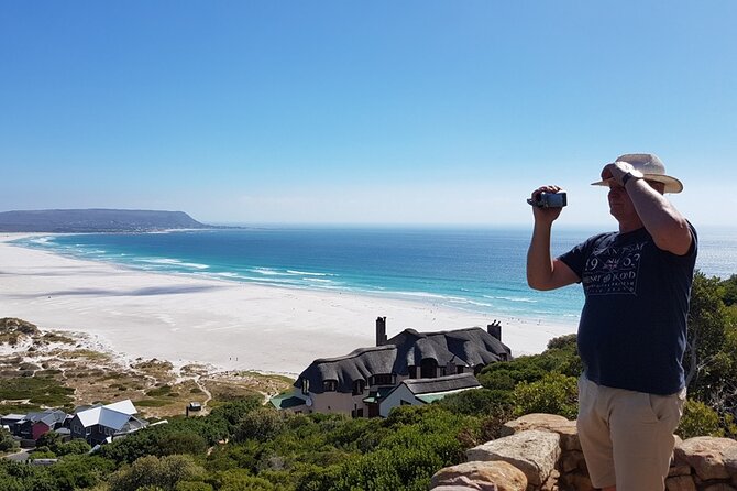 Full-Day Private Cape Peninsula Tour - Simon’s Town, Jubilee Square, and Just Nuisance