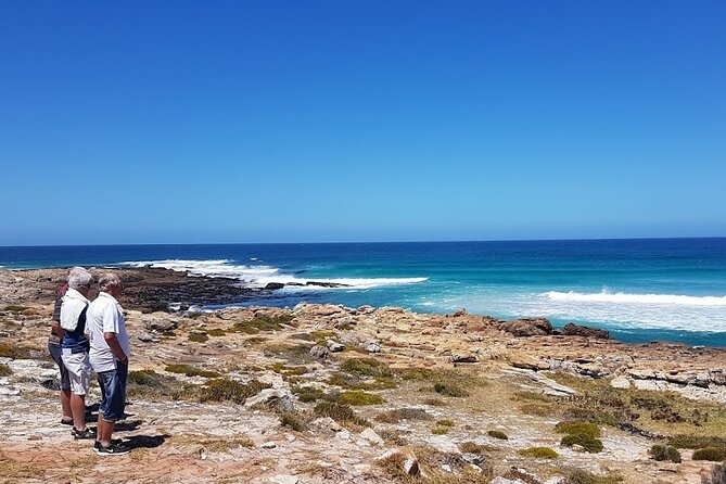 Full-Day Private Cape Peninsula Tour - Hout Bay and the smaller stops