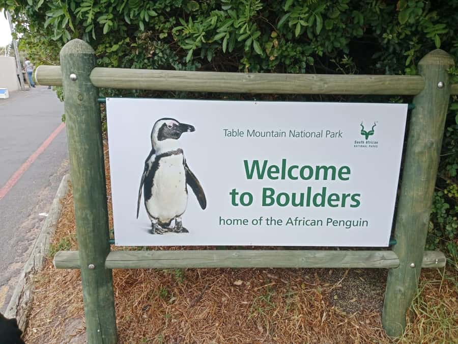 Full-Day Private Excursion: Cape of Good Hope and Penguins - Cape of Good Hope brings the peninsula into focus