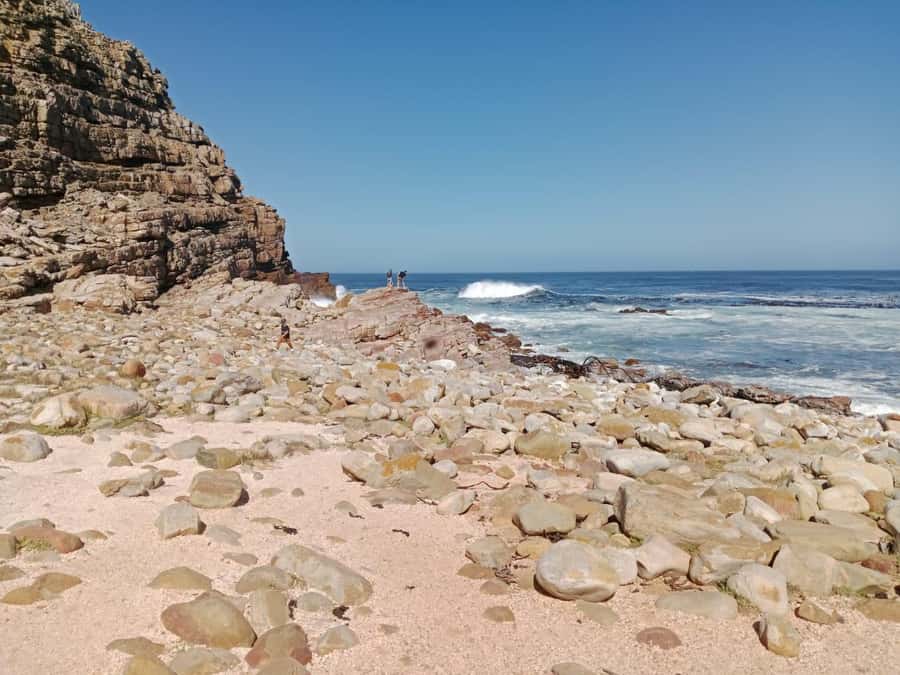 Full-Day Private Excursion: Cape of Good Hope and Penguins - What the eight-hour schedule feels like
