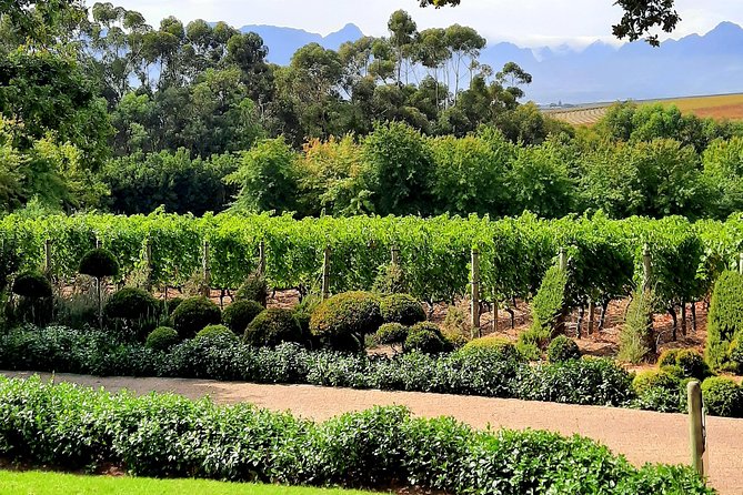 Full-Day Private Guided Wine Tasting Tour of Cape Wineries - Fairview starts the day with six wine and cheese pairings