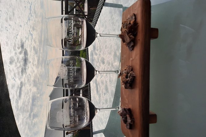 Full-Day Private Guided Wine Tasting Tour of Cape Wineries - Timing, pace, and what to bring
