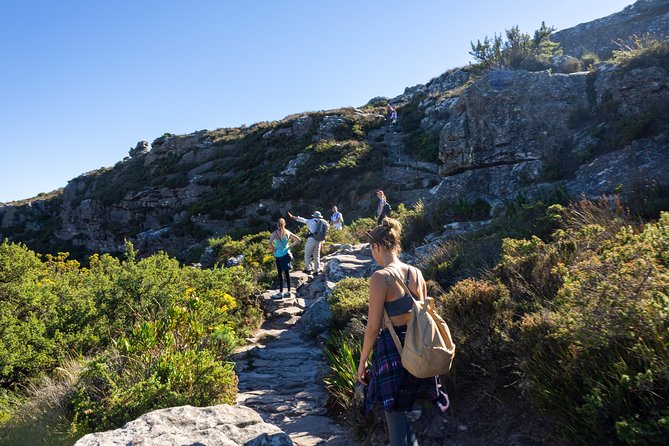 Full Day Private Hiking Table Mountain & City - A demanding start on Table Mountain