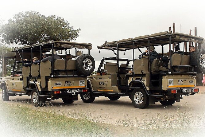 Full Day Private Kruger Park Safari - Why the pre-sunrise start matters