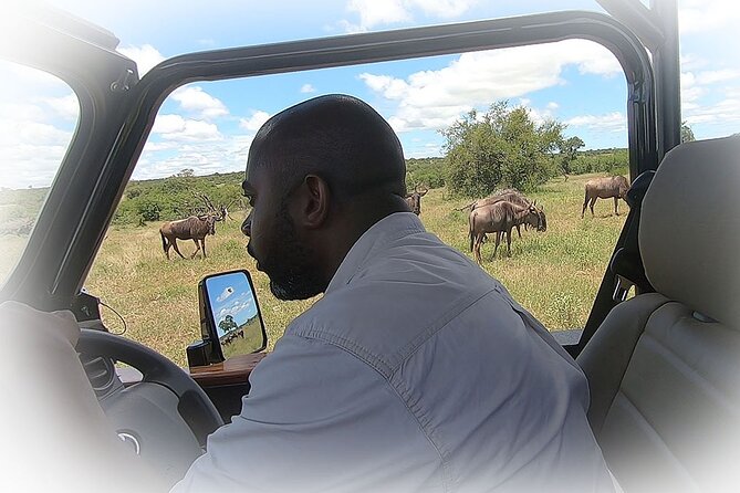 Full Day Private Kruger Park Safari - 2:30 PM afternoon game viewing