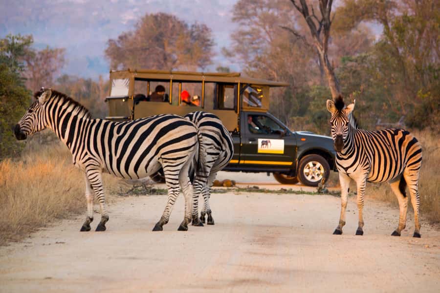 Full Day Private Kruger Safari from Hazyview - Key points at a glance