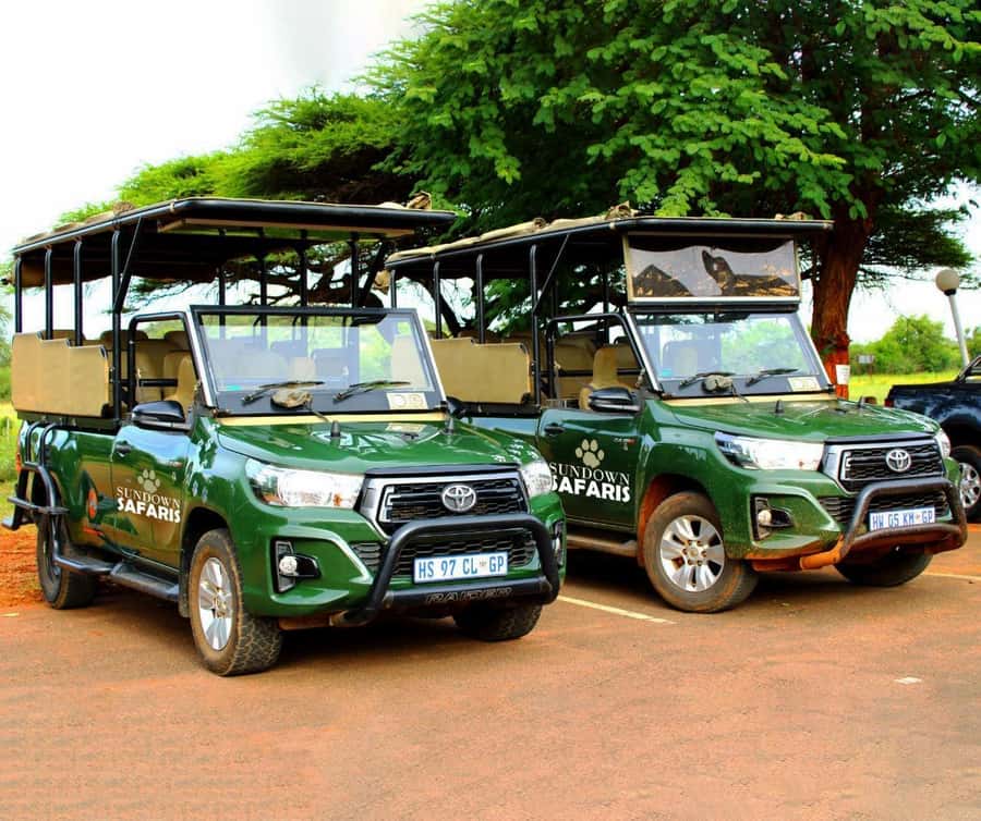 Full Day Private Kruger Safari from Hazyview - The second two-hour drive