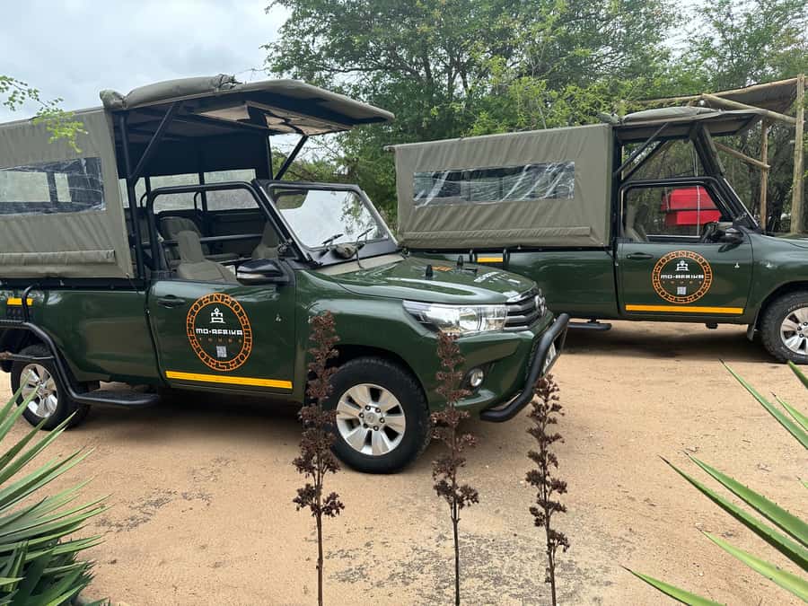 Full Day Private Kruger Safari from Hazyview - Who will enjoy this safari most?