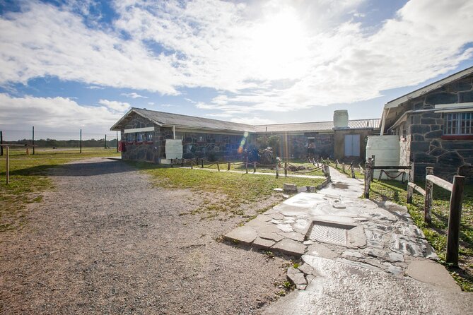 Full Day Private Robben Island & City - Timing, transport, and the physical rhythm