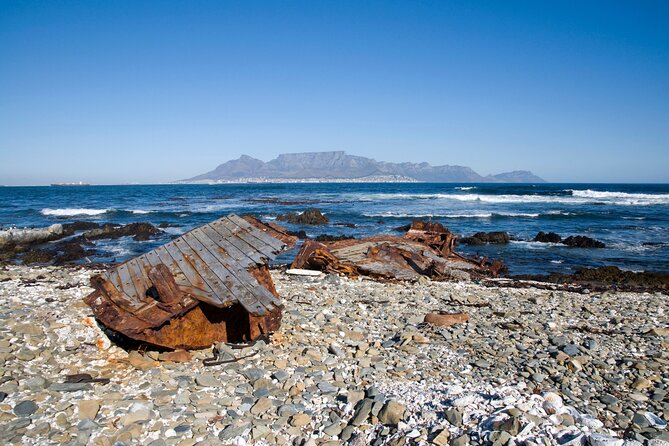 Full Day Private Robben Island & City - Who will get the most from this tour
