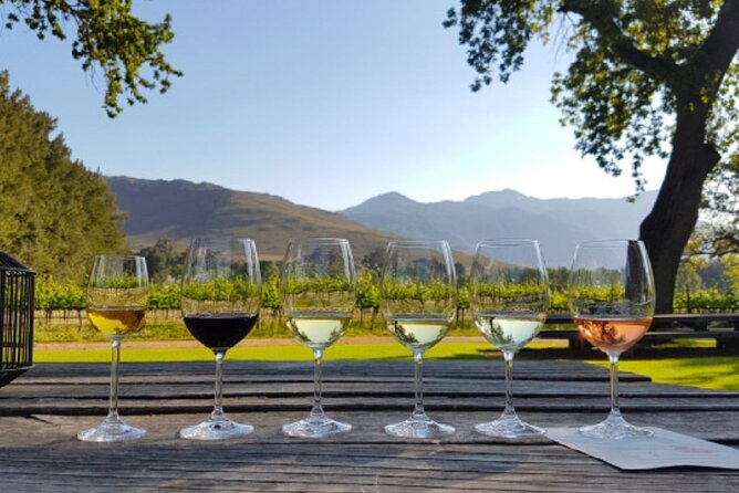 Full-Day Private Tour: Highlights of the Cape - Timing, fitness, and what to bring