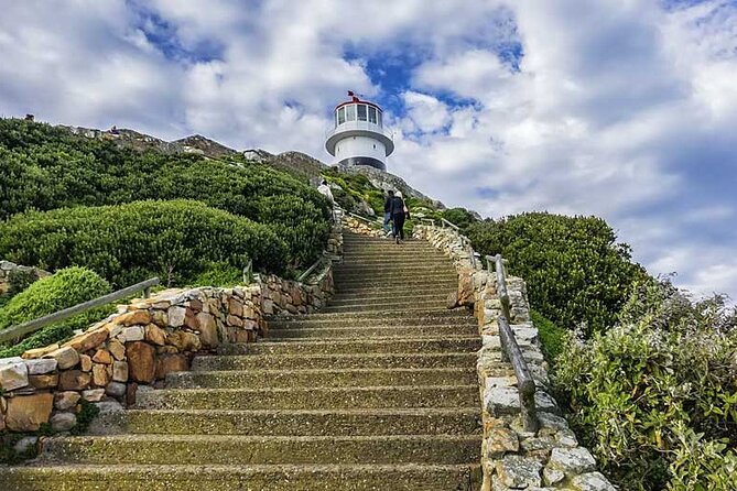 Full Day Private Tour of the Cape Peninsula and Boulders Penguins - Why This Private Cape Peninsula Tour Works