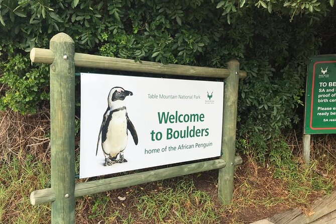 Full Day Private Tour of the Cape Peninsula and Boulders Penguins - Chapman’s Peak Drive: The Road Is Part of the Attraction