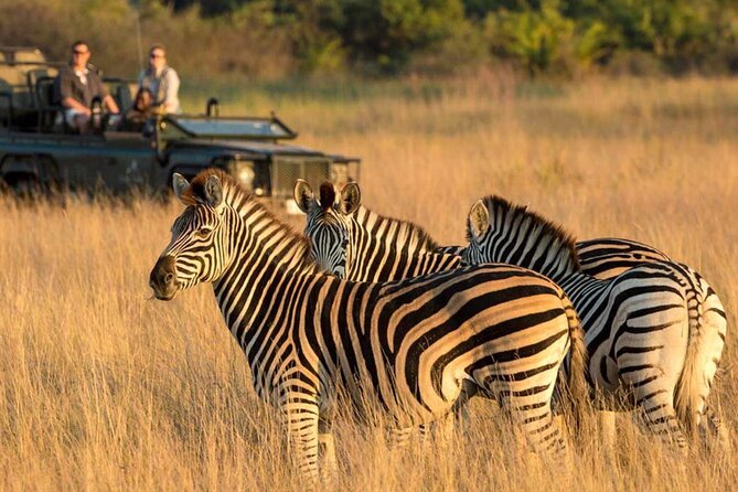 Full Day Safari From Durban to Hluhluwe-Imfolozi Game Reserve - A private tour changes the feel of the day