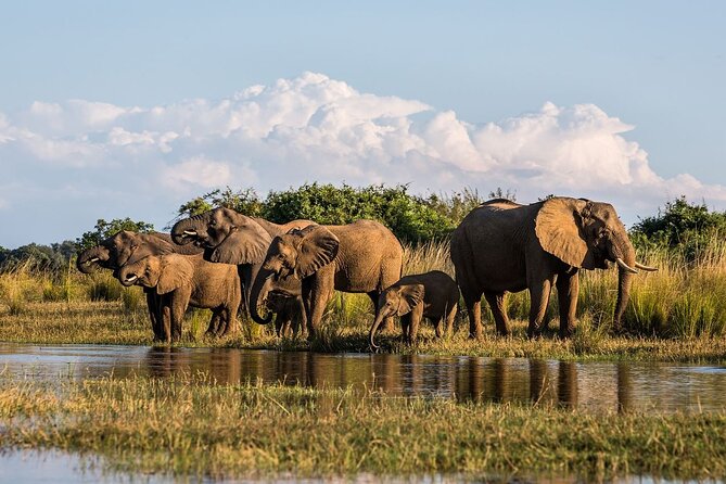 Full Day Safari From Durban to Hluhluwe-Imfolozi Game Reserve - Is $193.10 good value from Durban?