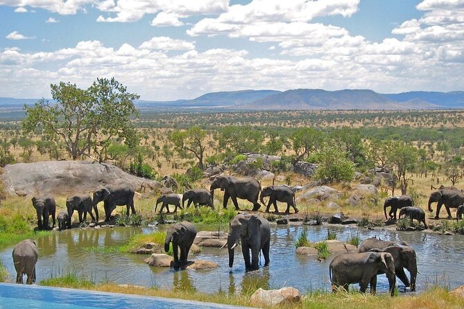 Full Day Safari From Durban to Hluhluwe-Imfolozi Game Reserve - The 6am departure from Durban