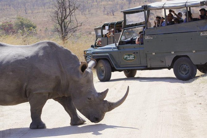 Full Day Safari in the Kruger National Park from Hazyview - Price and what the $126.98 covers