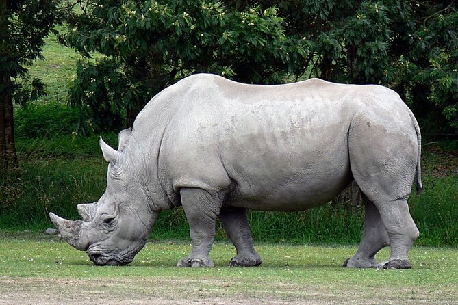Full-Day Safari to Tala Game Reserve, Phezulu Safari Park and Natal from Durban - Phezulu Safari Park: Zulu dance and the Valley of a Thousand Hills