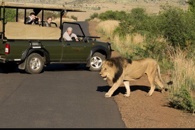 Full Day Safari Tour of Pilanesberg National Park, Open Jeep experience - Who should book this Johannesburg safari