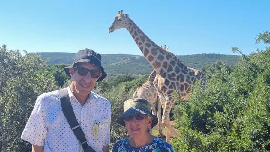 Full-Day Schotia Game Reserve & Giraffe Walk (Open 4x4) - Four hours in an open 4x4 at Schotia