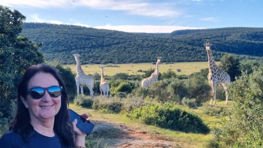 Full-Day Schotia Game Reserve & Giraffe Walk (Open 4x4) - The morning pickup and ride from Port Elizabeth