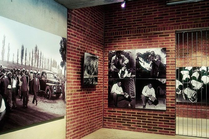 Full-Day Soweto, Apartheid Museum and Lunch Tour - Hector Pieterson Museum and the 1976 Uprising