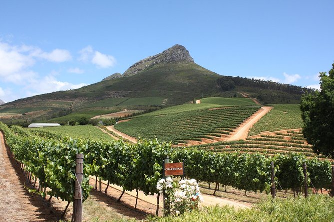 Full-Day Stellenbosch, Franschhoek and Paarl Wine Tasting Tour from Cape Town - The guides make or break the experience