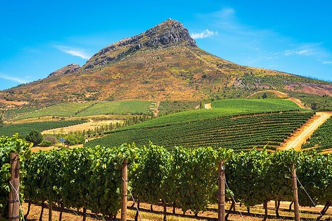 Full Day Stellenbosch Paarl and Franschhoek Private Wine Tour - Who Should Book This Tour