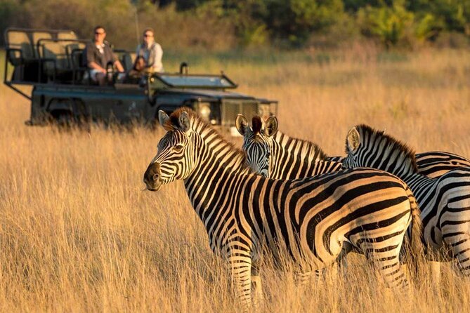 Full Day -Tala Game Reserve, Natal Lion Park, Phezulu From Durban - Guides can make or break the day
