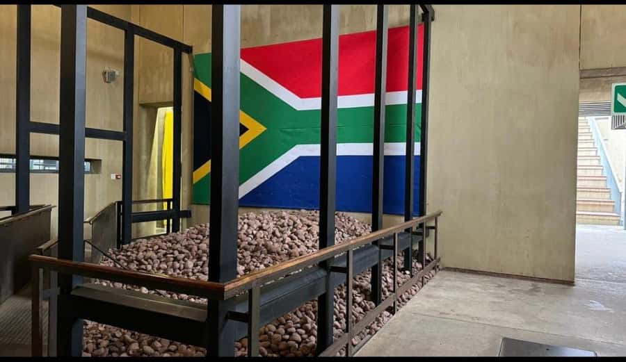 Full-Day Tour of Soweto, Johannesburg, and Apartheid Museum - Walking through Motsoaledi informal settlement