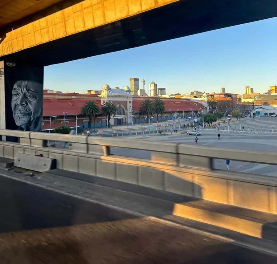Full-Day Tour of Soweto, Johannesburg, and Apartheid Museum - Vilakazi Street and the homes of Mandela and Tutu