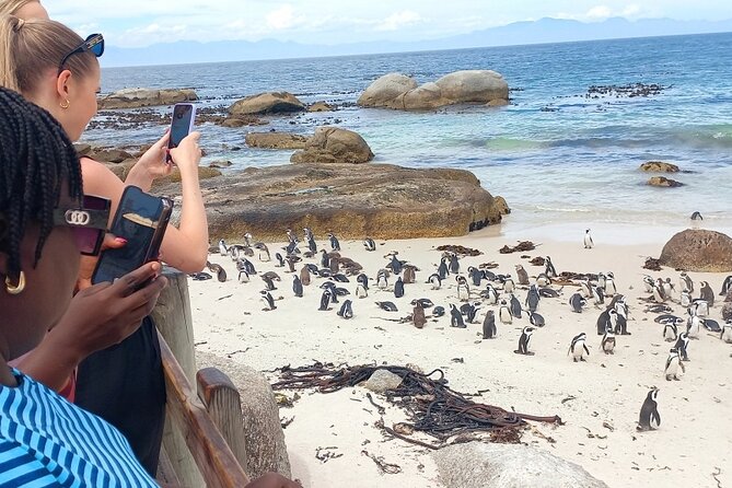 Full-Day Tour to Cape of Good Hope & Penguins from Cape Town - Bo-Kaap and Camps Bay set the tone
