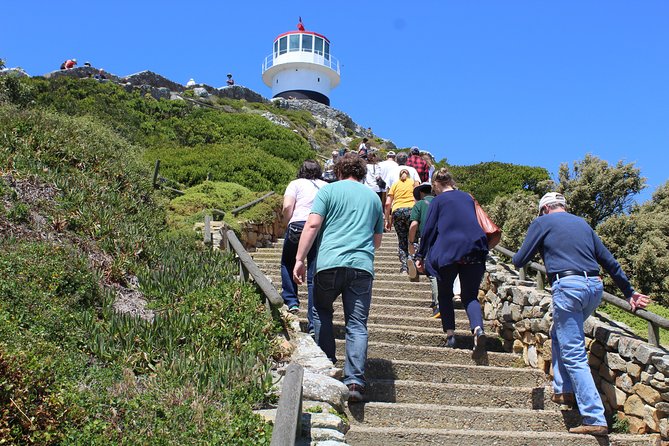Full-Day Tour to Cape Point and Cape of Good Hope - The Cape of Good Hope, wildlife, and open cliffs