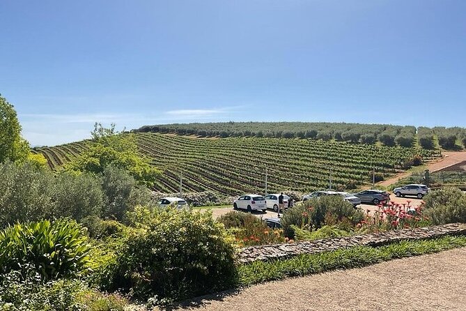 Full Day Tour to Wine Estates Stellenbosch, Franschhoek and Paarl - Why this tour works for a first visit to the Winelands