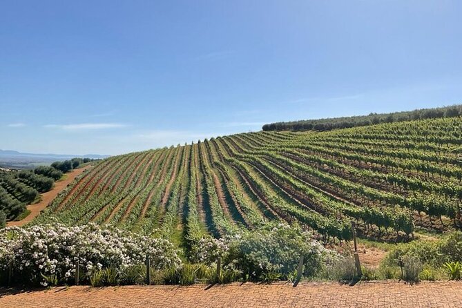 Full Day Tour to Wine Estates Stellenbosch, Franschhoek and Paarl - Groot Drakenstein Prison and the Mandela connection